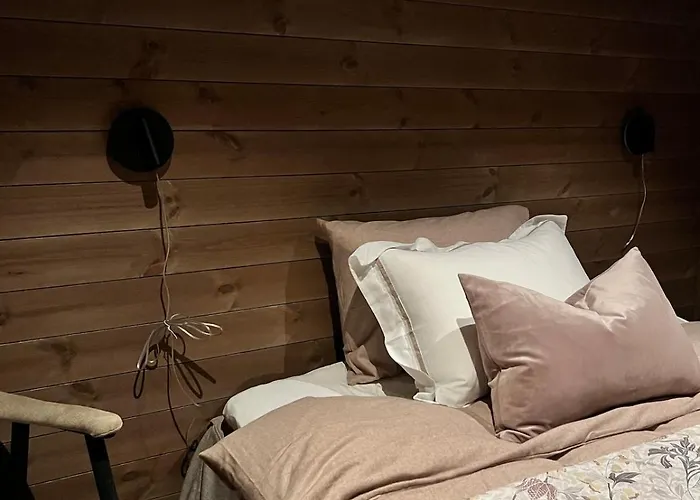 Semesterbostad Reno Hytta Eggedal