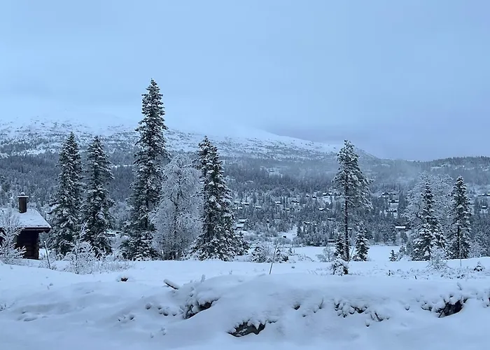 Reno Hytta * Eggedal