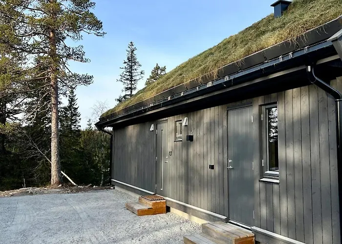 Reno Hytta Semesterbostad Eggedal