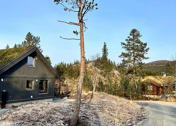 Reno Hytta Semesterbostad Eggedal